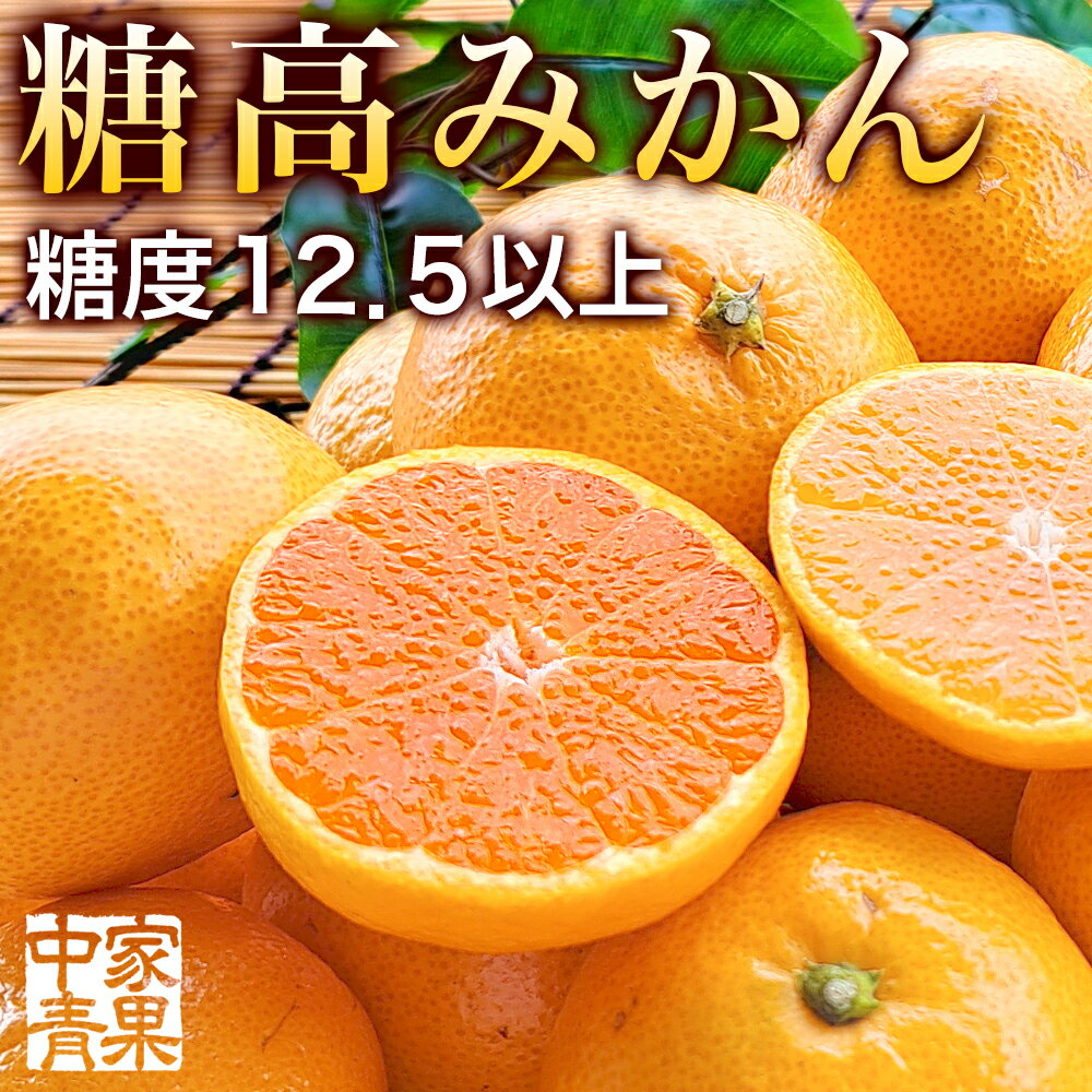 糖高みかん 5kg 糖度12.5以上 高糖度 和歌山県 サイズ混合 青秀 みかん 和歌山 光センサー 糖度 蜜柑 ミカン S 小玉 小粒 甘い 送料無料 贈り物 贈答 ギフト 選果 産地直送 濃厚 濃い 家庭用 わかやま 和歌山みかん お歳暮 お取り寄せ おすすめ 美味しい 期間限定 農園 農家のサムネイル