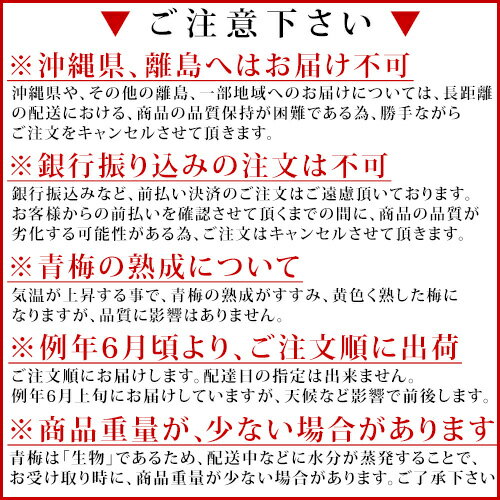 青梅 梅酒用 南高（なんこう）5kg 【送料無料】 青梅 梅酒用 わかやま、訳あり南高（なんこう）青梅 梅酒用です。南高（なんこう）青梅 梅酒用。梅シロップにも青梅 梅酒用は最適。青梅 梅酒用、。贈り物に南高（なんこう）青梅 梅酒用【smtb-k】【ky】