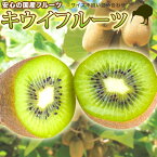 ե롼Ĺե롼ġʪkiwi