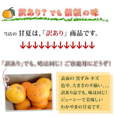 あまなつ5kg(甘夏)送料無料、わかやま産あまなつ、有田みかんの里で知られる和歌山県産あまなつ。初夏のフルーツ甘夏を産地直送、あまなつ送料込みで訳あり特価。新鮮あまなつ、スイーツ甘夏。さわやかな甘味の甘夏、フレッシュ柑橘の甘夏