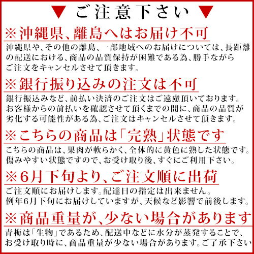 完熟 青梅、高梅（なんこう） 5kg訳あり 【送料無料】 完熟 青梅 高梅（なんこう） 和歌山 ウメ うめ 梅酒用の完熟青梅、完熟青梅シロップ用、梅干用の完熟青梅、紀州南高梅、完熟の青梅、追熟を待たなくていい完熟の青梅。加工が楽な完熟青梅【smtb-k】【ky】