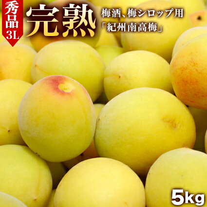 完熟青梅 【紀州南高梅（なんこう梅）】 厳選秀品3Lサイズ 5kg 【送料無料】 和歌山県産 ウメ うめ 梅酒用 梅シロップ用 梅干用 紀州南高梅【smtb-k】【ky】