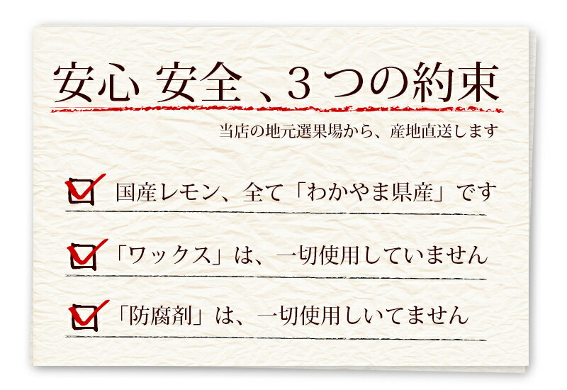 レモン 5kg 業務用（わかやま県産） 【送料無料】 有田みかんの里、和歌山県産、、訳ありレモン、産地直送、ノーワックス、lemon。塩レモン、レモンケーキ、レモネード、レモン果汁として最適【smtb-k】【ky】【sswf1】