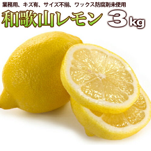 レモン 3kg 業務用（わかやま県産）【送料無料】