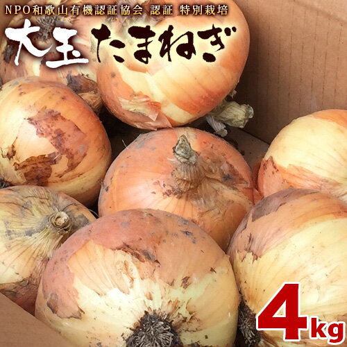 玉ねぎ 4kg 送料無料 大玉 大きい 特別栽培 和歌山県産 玉ねぎ 訳あり サイズ不揃い 業務用野菜玉ネギ タマネギ 玉葱