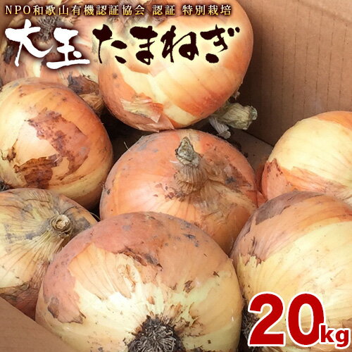 玉ねぎ 20kg 送料無料 大玉 大きい 特別栽培 和歌山県産 玉ねぎ 訳あり サイズ不揃い 業務用野菜玉ネギ..