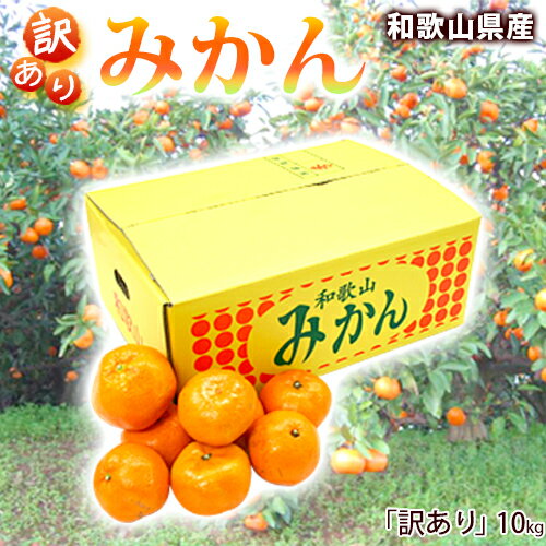 みかん 10kg 和歌山県産【訳あり】 【送料無料】 ご自宅