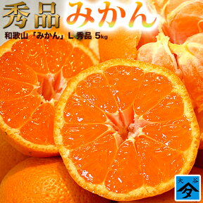 みかん 秀品 Lサイズ 5kg 和歌山県産 【送料無料】 柑橘蜜柑ミカン産地直送【smtb-k】【ky】