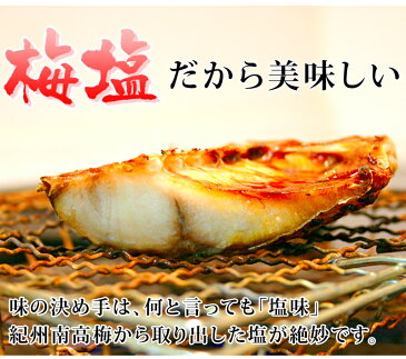 ご飯が好きになる秋刀魚みりん干しセット 【送料無料】 魚介 加工品 干物セット サンマ 秋刀魚 味醂干し ミリン干し 父の日 食べ物 【smtb-k】【ky】