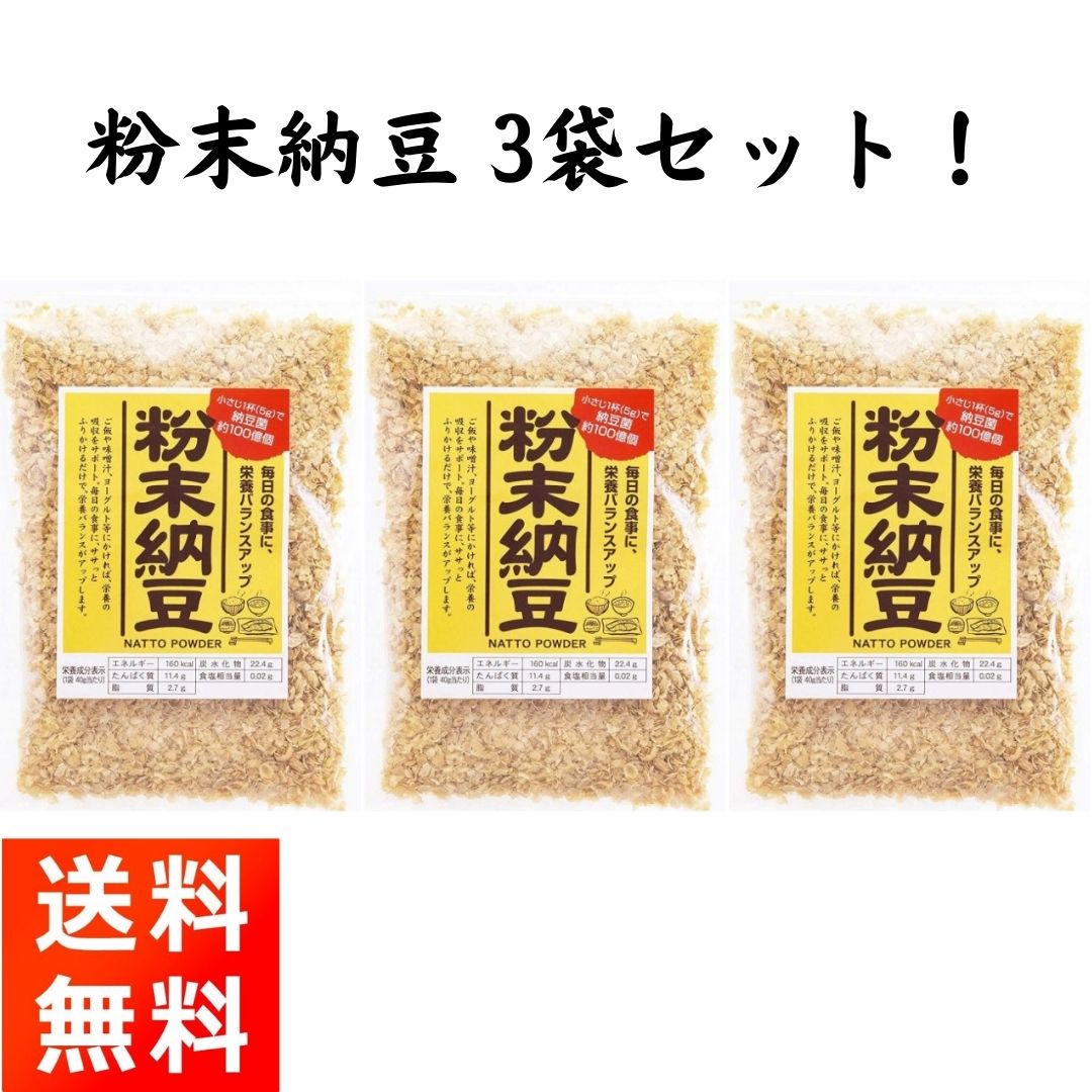 粉末納豆 40g×3袋 信州物産 小さじ1杯で納豆10パック分の納豆菌