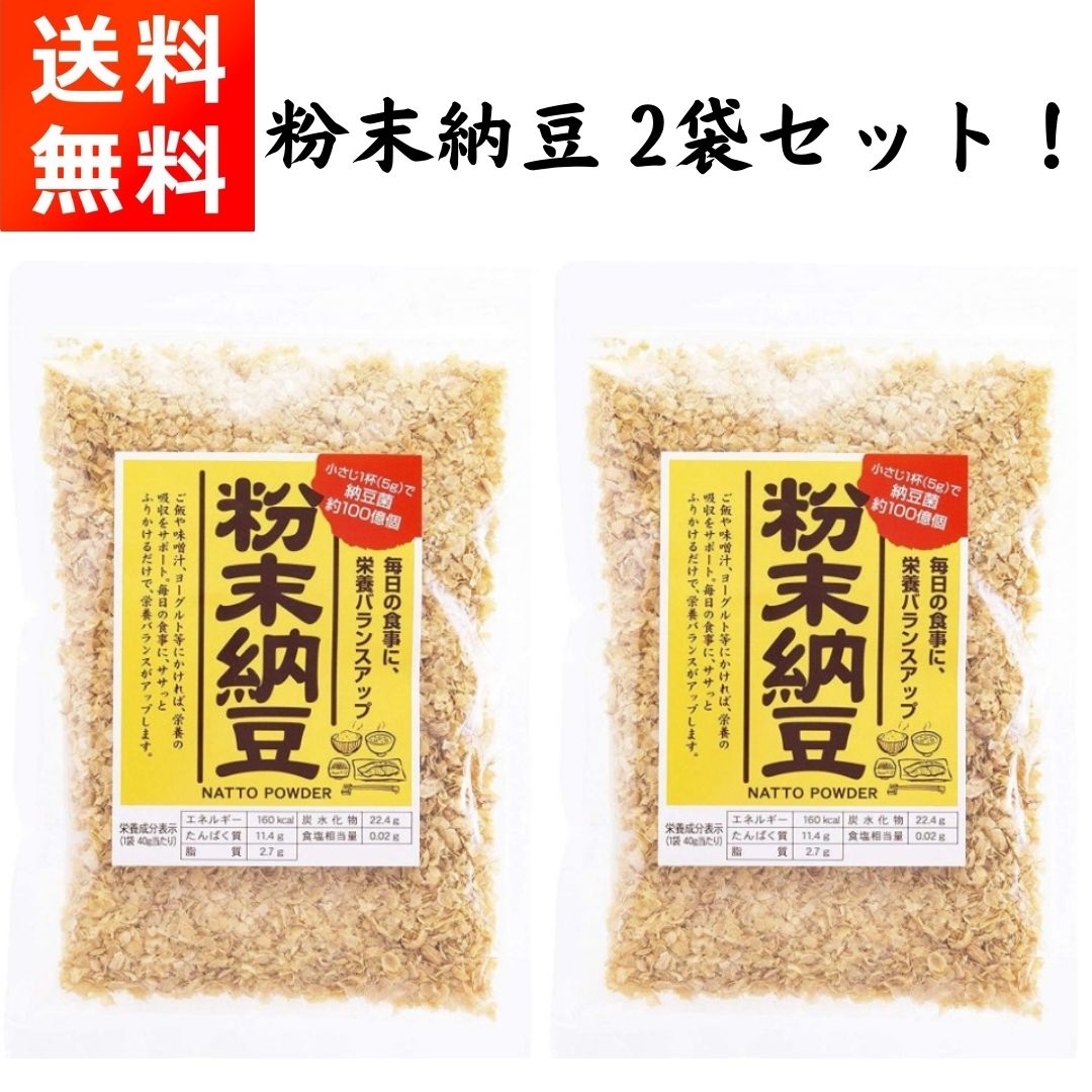 粉末納豆 40g×2袋 信州物産 小さじ1杯で納豆10パック分の納豆菌