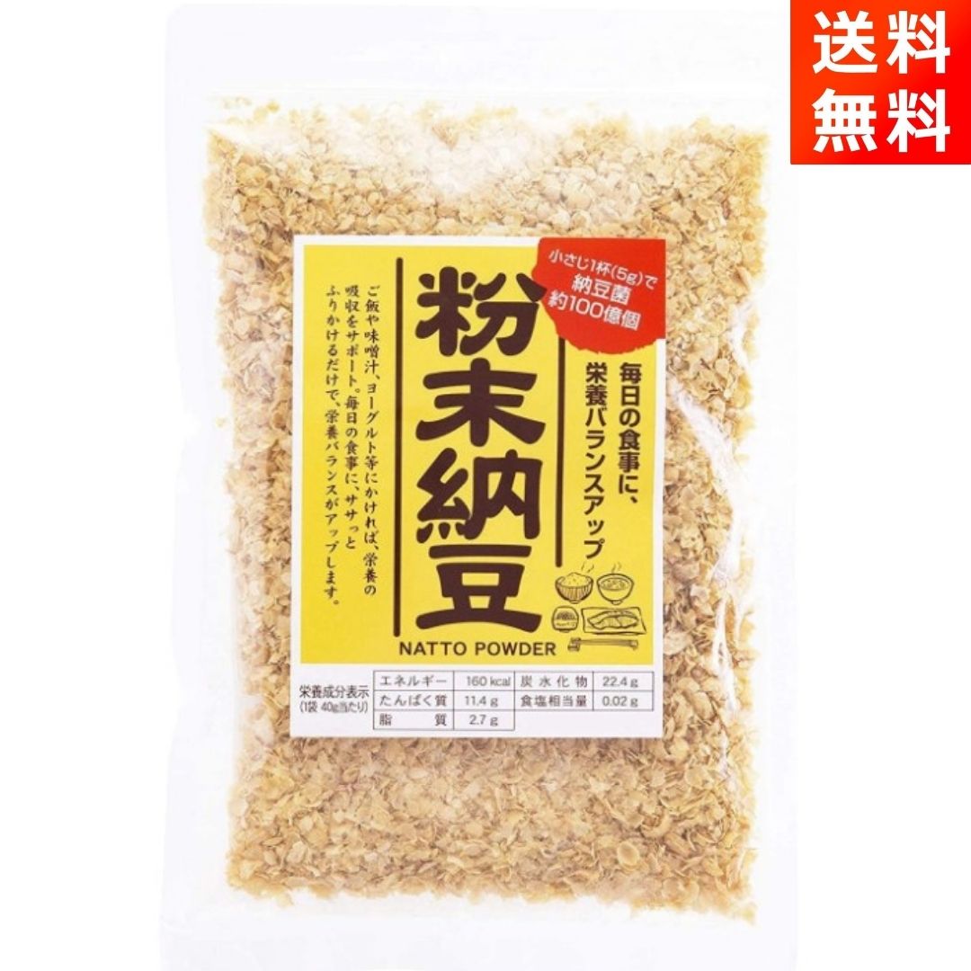 粉末納豆 40g×1袋 信州物産 小さじ1杯で納豆10パック分の納豆菌