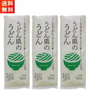 【GW期間も元気に営業中！】讃岐物産 うどん県のうどん 300g×3袋 さぬきの夢100％使用 讃岐うどんの伝統的製法