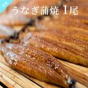うなぎ蒲焼き 中国産 無頭背開き 1尾入り 約180g 【冷凍 鰻 1尾真空 中国産 うな重 土用の丑の日 冷凍商品10000円以上で送料無料】