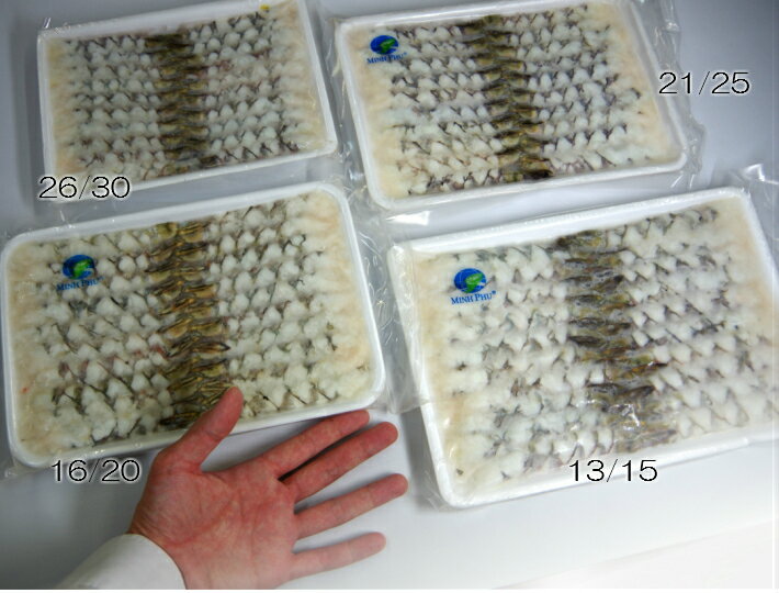 尾付きムキ海老（13/15）【ブラックタイガー おつきむきえび のばしえび 伸ばし海老 天ぷら 冷凍商品10000円以上で送料無料】