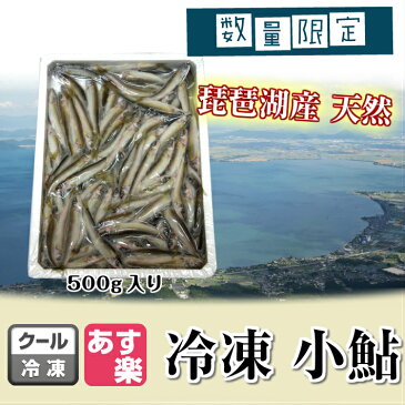 【数量限定】琵琶湖産天然 小鮎 500g 【ランキング1位 冷凍 あゆ 稚鮎 小あゆ 天ぷら 前菜 業務用 冷凍商品10000円以上で送料無料 あす楽対応】