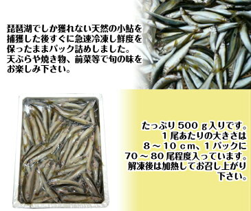 【数量限定】琵琶湖産天然 小鮎 500g 【ランキング1位 冷凍 あゆ 稚鮎 小あゆ 天ぷら 前菜 業務用 冷凍商品10000円以上で送料無料 あす楽対応】