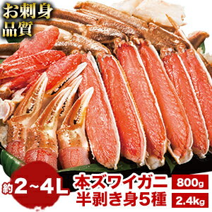 【期間限定SALE中】約800g 約2.4kg(1.6kg+800g) 生本ズワイガニ半剥き身(生食可) 普通 2L~4L ずわいがに ズワイガニ 生ずわいがに 生ズワイガニ かに カニ 蟹 ハーフポーション カニお刺身 剥き身 冷凍かに 海鮮 お取り寄せグルメ 全国送料無料 ごちそうマーケット