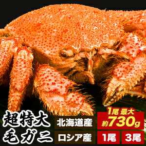 楽天株式会社ごちそうマーケット【期間限定SALE】北海道産 1尾 約1.1kg 北海道産 2尾 約2.2kg ロシア産 1尾 約1.2kg ロシア産 2尾 約2.4kg 超特大ボイル毛ガニ 国産 毛蟹 毛ガニ カニ かに 蟹 ボイル済み かに茹で済 姿 カニみそ 蟹みそ 冷凍かに 全国送料無料 ごちそうマーケット