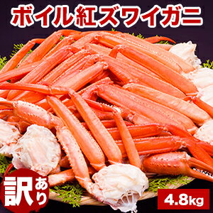 【期間限定SALE中】約18~40肩 4.8kg 訳ありボイル紅ズワイガニ肩付脚 ベニズワイガニ べにずわいがに かに カニ 蟹 ボイル紅ズワイ ボイル紅ずわい...