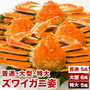 【期間限定SALE中】普通5尾約2.4kg 大型6尾約3.6kg 特大5尾約3.6kg ボイルズワイガニ姿 特大ズワイガニ 大型ズワイガニ 姿 ずわいがに ずわい蟹 ズワイ蟹 蟹姿 カニ姿 かにみそ 蟹みそ ボイルズワイ ボイルずわいがに ごちそうマーケット 全国送料無料