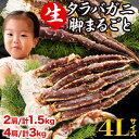 【20%OFFクーポン配布中】約1.5kg or 約3kg 生タラバガニ肩付脚 生食不可 タラバガニ たらばがに 生タラバ 生たらば タラバ生 生タラバ足 タラバ蟹脚 たらばがに肩付脚 タラバガニ肩付脚 かに生 生の蟹 蟹鍋 焼き蟹 ごちそうマーケット 全国送料無料