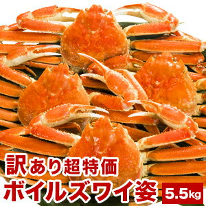 【期間限定SALE中】約7~12尾 5.5kg 訳ありボイルズワイガニ姿 ズワイガニ ずわいがに ズワイ蟹 かに カニ 蟹 ズワイガニ姿 ボイルズワイ ボイルか...