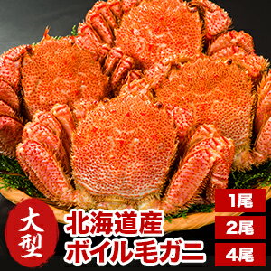 【期間限定SALE中】1尾約600g 2尾約1.2kg 4尾約2.2kg 大型北海道産ボイル毛ガニ 国産 北海道 毛蟹 毛がに カニ かに 蟹 ボイル毛ガニ ボイル毛蟹 ボイル済み かに茹で済 姿 カニみそ 蟹みそ かにみそ カニパーティー 全国送料無料 ごちそうマーケット