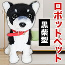 【お値引きクーポン配布中】黒柴型ロボットペット アクセサリーセット ロボット 黒柴犬 ドッグ ぬいぐるみ ペット 電子ペット 犬 いぬ わんこ ワンちゃん おもちゃ 電池付 話し相手 話す 歌う 踊る お友達 かわいい 子ども 孫 プレゼント 全国送料無料 ごちそうマーケット