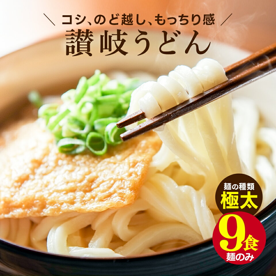 ポイント20倍 1000円 送料無料 ポッキリ 讃岐生うどん