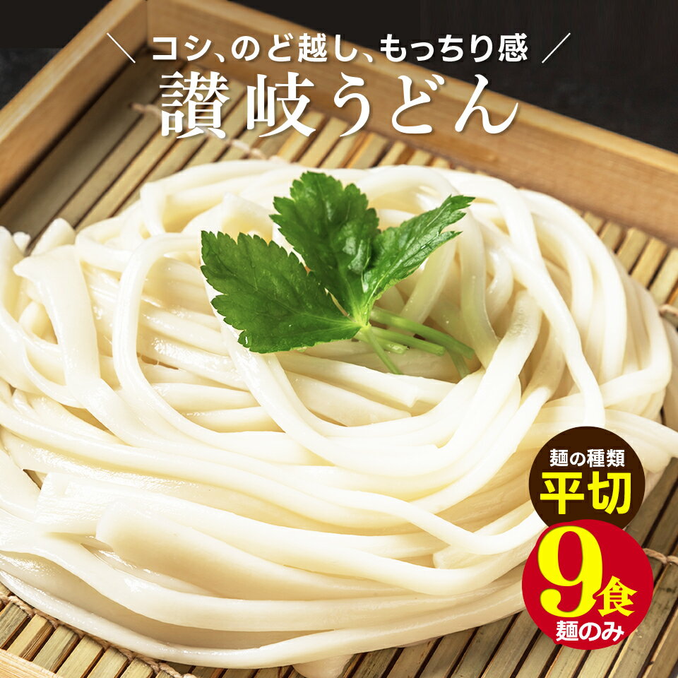 ポイント20倍 1000円 送料無料 ポッキリ 讃岐生うどん平切麺9食セット (麺300g×3袋 ) 通常・極太・平切 お試し ポイント消化 在庫処分 ..