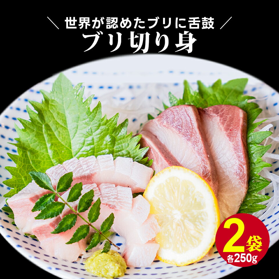 送料無料 鹿児島県産ぶり切身 刺身 2パックセット（250g×2袋） 冷凍配送 国産 人気 おすすめ ポイント消化 食品 グルメ 産地直送 ご当地 鰤 海鮮丼 【ぶり切身2パック】