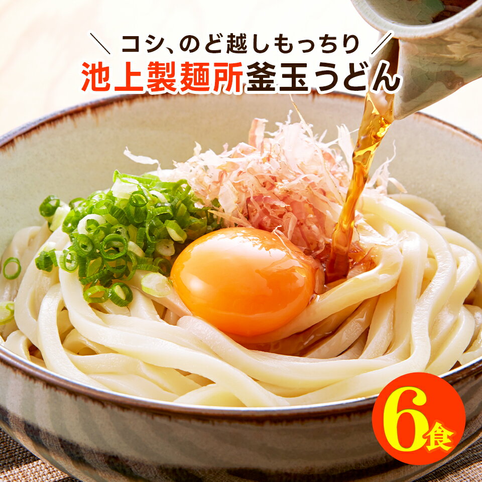 送料無料 ポッキリ 池上製麺所 釜玉うどん6食セット (麺3