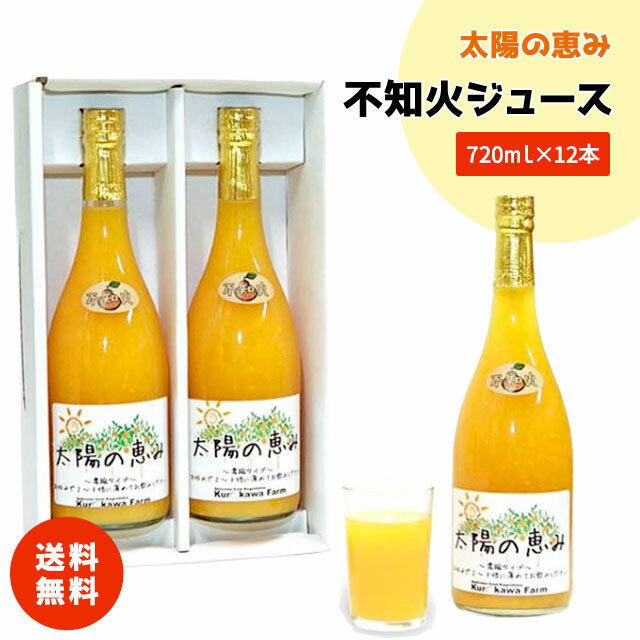 母の日 父の日 お中元 お歳暮 ギフト 太陽の恵み 不知火 デコポン ジュース みかん ドリンク 12本 ギフト お土産 手土産 プレゼント 贈り物 濃縮 希釈 お中元 お歳暮 送料無料 オレンジジュー…