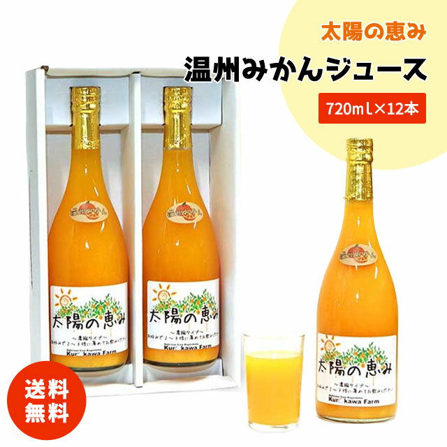 母の日 父の日 お中元 お歳暮 ギフト 太陽の恵み 温州みかん ジュース みかん ドリンク 12本 ギフト お土産 手土産 プレゼント 贈り物 濃縮 希釈 お中元 お歳暮 送料無料 オレンジジュース 家庭用 贈答用 【太陽の恵み温州12本】