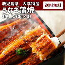 鹿児島 ウナギ かば焼き 蒲焼 鰻 送料無料 冷凍 父の日 母の日 ギフト 【うなぎ3尾】