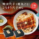 【お得 まとめ買い】ごちそう 穴子めし セット 2合 2箱 3箱 | 贅沢 焼穴子 一尾 丸ごと 無洗米 出汁 だし茶漬け 付き オールインワン セット 炊飯器...