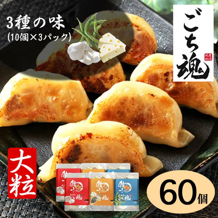 【送料無料】大粒!お肉ぎっしり 食べ比べ3種セット 60個 10個×6パック 約2100g にんにく+チーズ黒胡椒+青とうがらし 国産餃子 おいしい餃子 美味し...