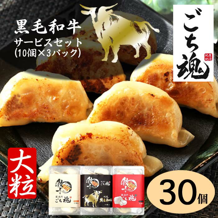 黒毛和牛餃子10個＋プレーン10個＋にんにく10個　3パック約1050g　黒毛和牛 和牛餃子 新座餃子 国産餃子 おいしい餃子 焼餃子 水餃子 冷凍餃子 絶品 グルメお取り寄せのサムネイル