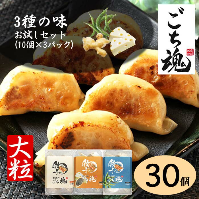 食べ比べ3種の味 お試しセット 10個×3パック 約1050