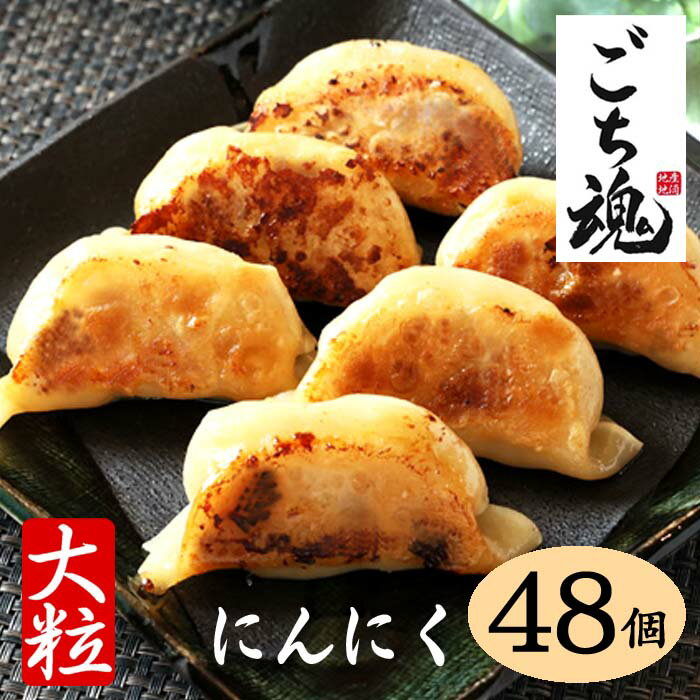 マラソン価格で40%OFF 48個　24個×2パック 約1760gお肉ぎっしり重さで他店との違いがわかります　にんにく餃子 新座餃子 地産地消 国産餃子 おいしい餃子 焼餃子 肉餃子　水餃子 冷凍餃子 絶品 グルメ お取り寄せグルメ 送料無料のサムネイル