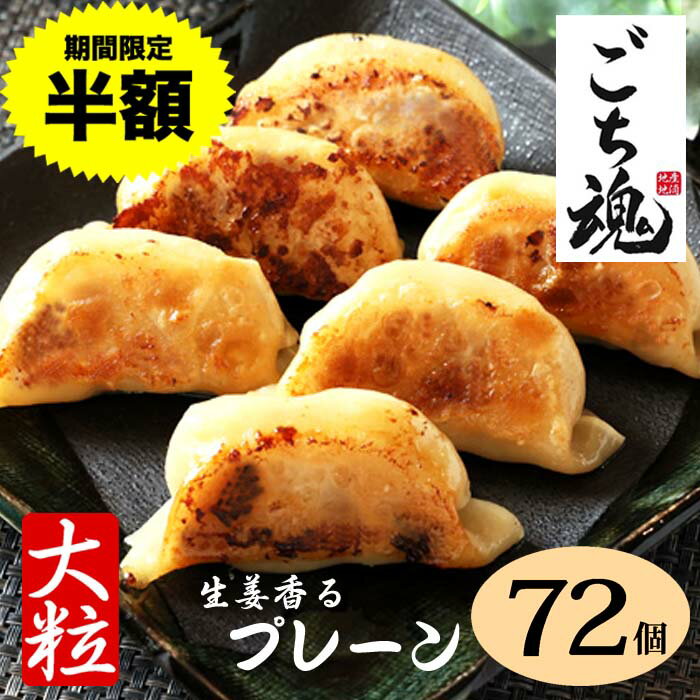 マラソン半額【送料無料】大粒！お肉ぎっしり プレーン餃子 72個　24個×3パック 約2640g　国産生姜 にんにく不使用 肉餃子 地産地消 国産餃子 おいしい餃子 焼餃子 肉餃子 水餃子 冷凍餃子 絶品 グルメ お取り寄せ 送料無料のサムネイル