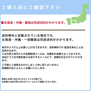 【ポイント5倍】【コイズミ】【2021年度】デスクカーペット　鬼滅の刃 YDK-209 KY 我妻 善逸