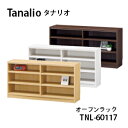 白井産業 タナリオ 幅 117×高さ 60cmタイプ TNL-60117 Tanalio オープンラック 収納 おしゃれ かわいい シンプル モダン