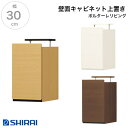 白井産業 ポルターレ・リビング 壁面キャビネット 上置専用 POR-5530DU NA/WH/DK 壁面収納 国産
