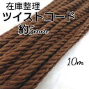 国産 アクリル紐 ツイストコード 紐 カラーコード カラーひも 5mm 10m ハンドメイド 手作り 手芸材料 送料無料