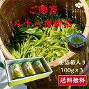 新茶 静岡産 高級 八十八夜 100g×3缶 送料無料 産地直送 牧之原産 牧之原 深蒸し煎茶 新茶缶詰 箱入 ギフト プレゼント 贈答 おいしい 国産 茶葉 ...