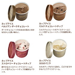 ゴディバ(GODIVA)アイスアソートギフトセット11個