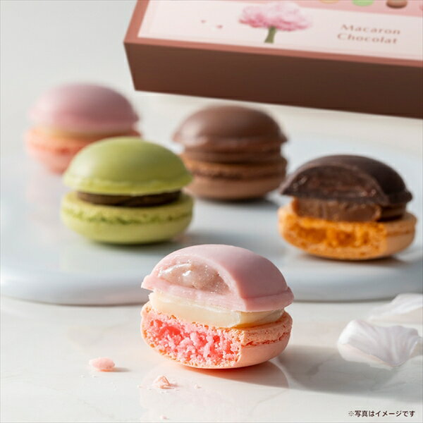 ゴディバ公式 マカロンショコラ（8個入）