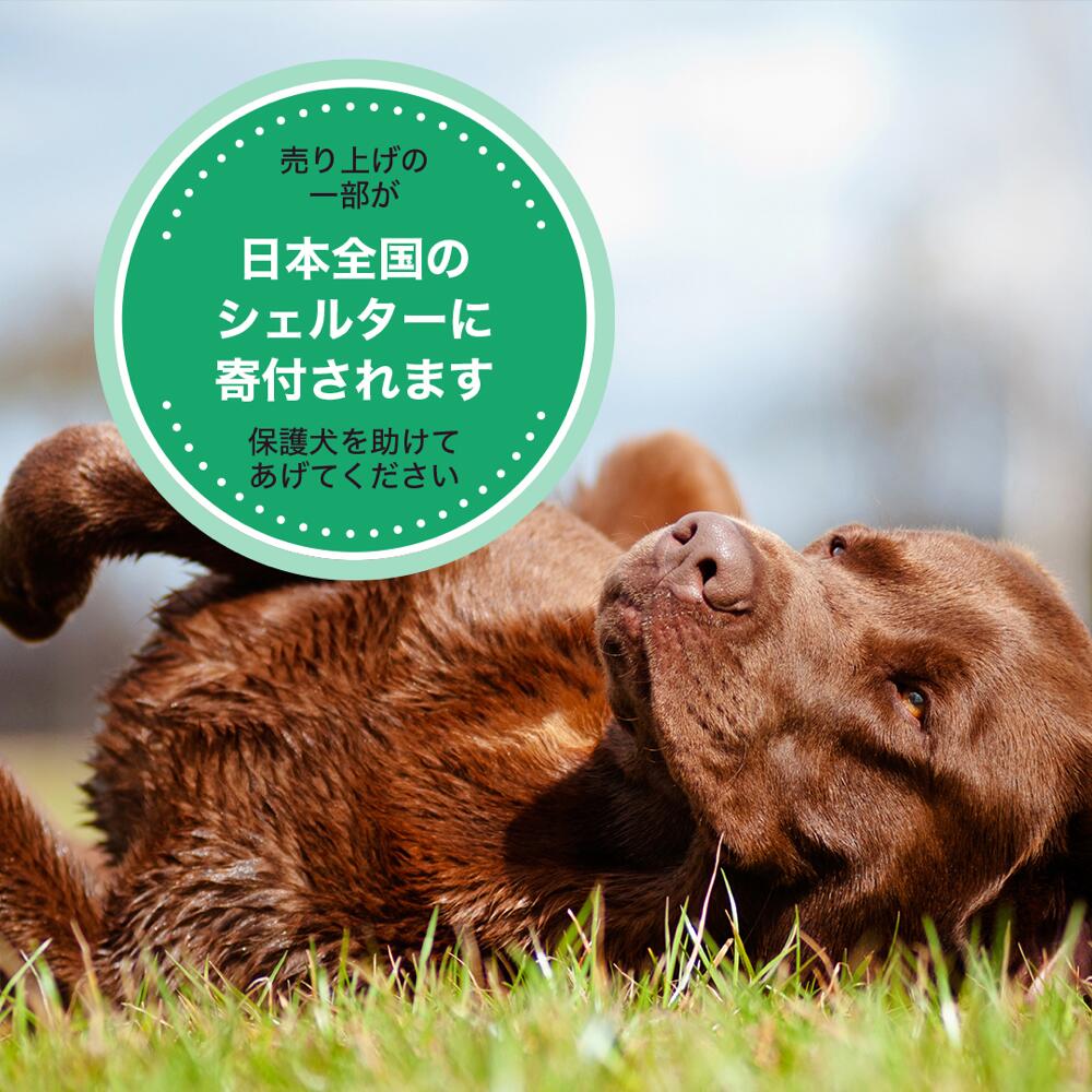 GoDoggyブリースティックチュー(S)3本入り10cm高品質で長持ちなデンタルおやつ100%牛肉で臭い少なめ完全消化